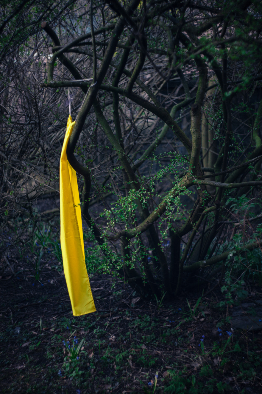 web2_daniel_wirgard-1367